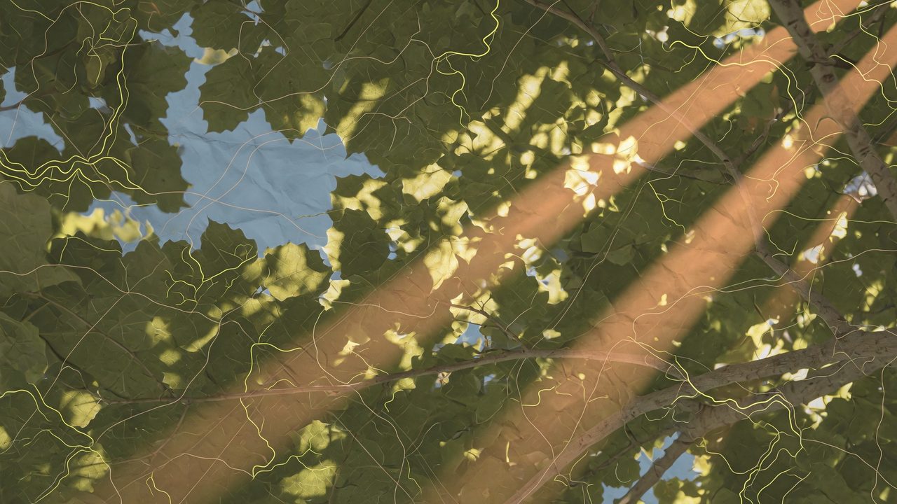 Pathfold Atlas visual
